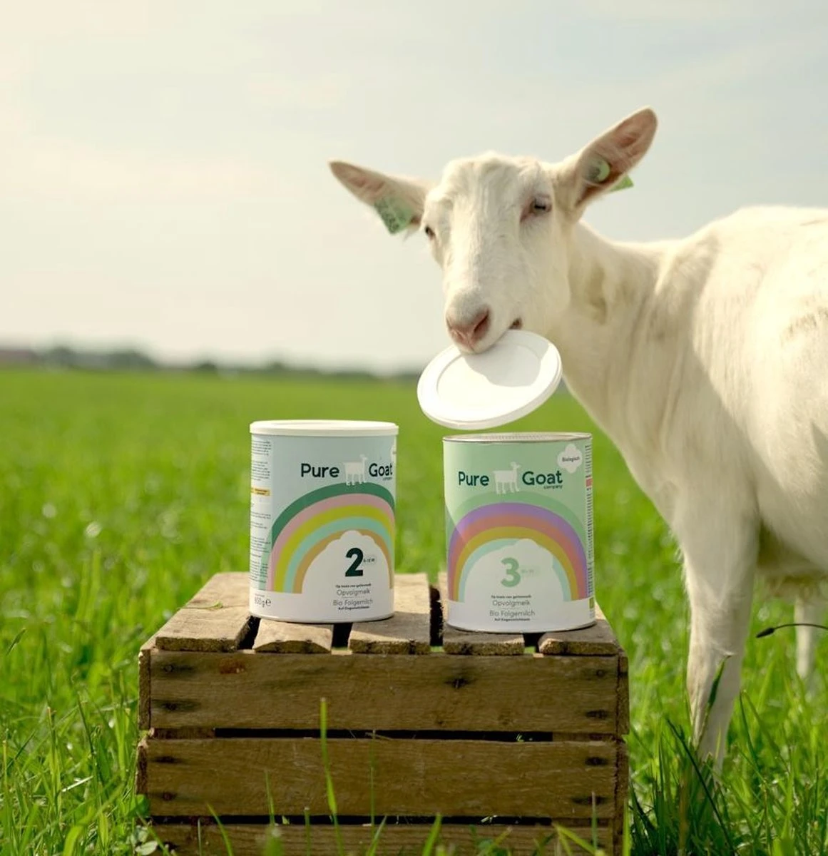 Pure Goat Company - Opvolgmelk 2 - Biologische Flesvoeding Op Basis Van Volle Geitenmelk - 800 Gram 8 Pure Goat Company - Opvolgmelk 2 - Biologische Flesvoeding Op Basis Van Volle Geitenmelk - 800 Gram - Afbeelding 6
