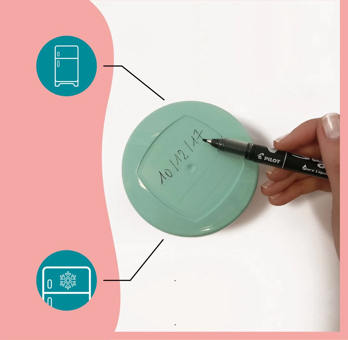 BabyMoov Babybowls 8.45oz Kom 0,25 L Multi Kleuren, Transparant 7 BabyMoov Babybowls 8.45oz Kom 0,25 L Multi Kleuren, Transparant - Afbeelding 5