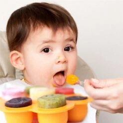 Multifunctionele Babyvoeding Bewaarbakjes Met Baby Lepeltjes - Set Van 6 - Bewaarbakje - Baby Voeding - Moedermelk Bewaren - Bewaren - BPA Vrij - Babyvoeding Diepvriesbakje - Ijslolly Vromen - Baby - Mini Cupcakes - Invriezen - Afsluiten - Magnetron 16 Multifunctionele Babyvoeding Bewaarbakjes Met Baby Lepeltjes - Set Van 6 - Bewaarbakje - Baby Voeding - Moedermelk Bewaren - Bewaren - BPA Vrij - Babyvoeding Diepvriesbakje - Ijslolly Vromen - Baby - Mini Cupcakes - Invriezen - Afsluiten - Magnetron -Zuigelingenvoeding 1200x1194 11