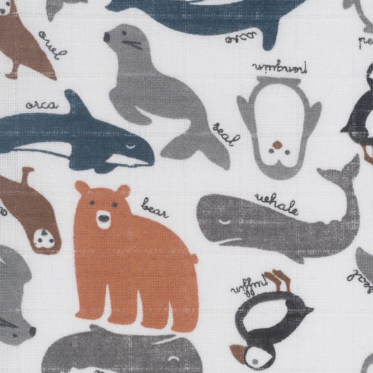 Jollein Hydrofiel Monddoekje Polar - 3 Stuks 5 Jollein Hydrofiel Monddoekje Polar - 3 Stuks - Afbeelding 3