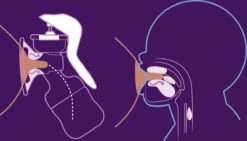 Philips Avent SCF430/01 - Borstkolf - Handmatig -Zuigelingenvoeding 1200x687