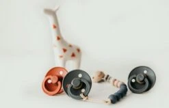 BIBS Speen 18+ Mnd | T3 | Beige - Woodchuck - Petrol - Dark Oak -Zuigelingenvoeding 1200x769