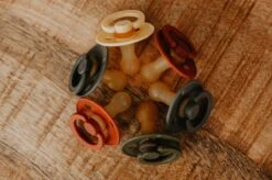 BIBS Speen 18+ Mnd | T3 | Beige - Woodchuck - Petrol - Dark Oak -Zuigelingenvoeding 1200x798