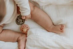 Bibs Fopspeen - Maat 2 6-18 Maanden - Boheme Peach 22 Bibs Fopspeen - Maat 2 6-18 Maanden - Boheme Peach -Zuigelingenvoeding 1200x800 4