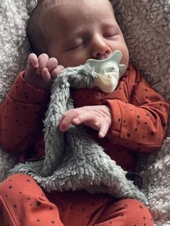 Louka Speendoekje Driehoek Teddy Groen - Teddy Katoen - Speenknuffel - Excl. Bibs Speen -Zuigelingenvoeding 900x1200 16