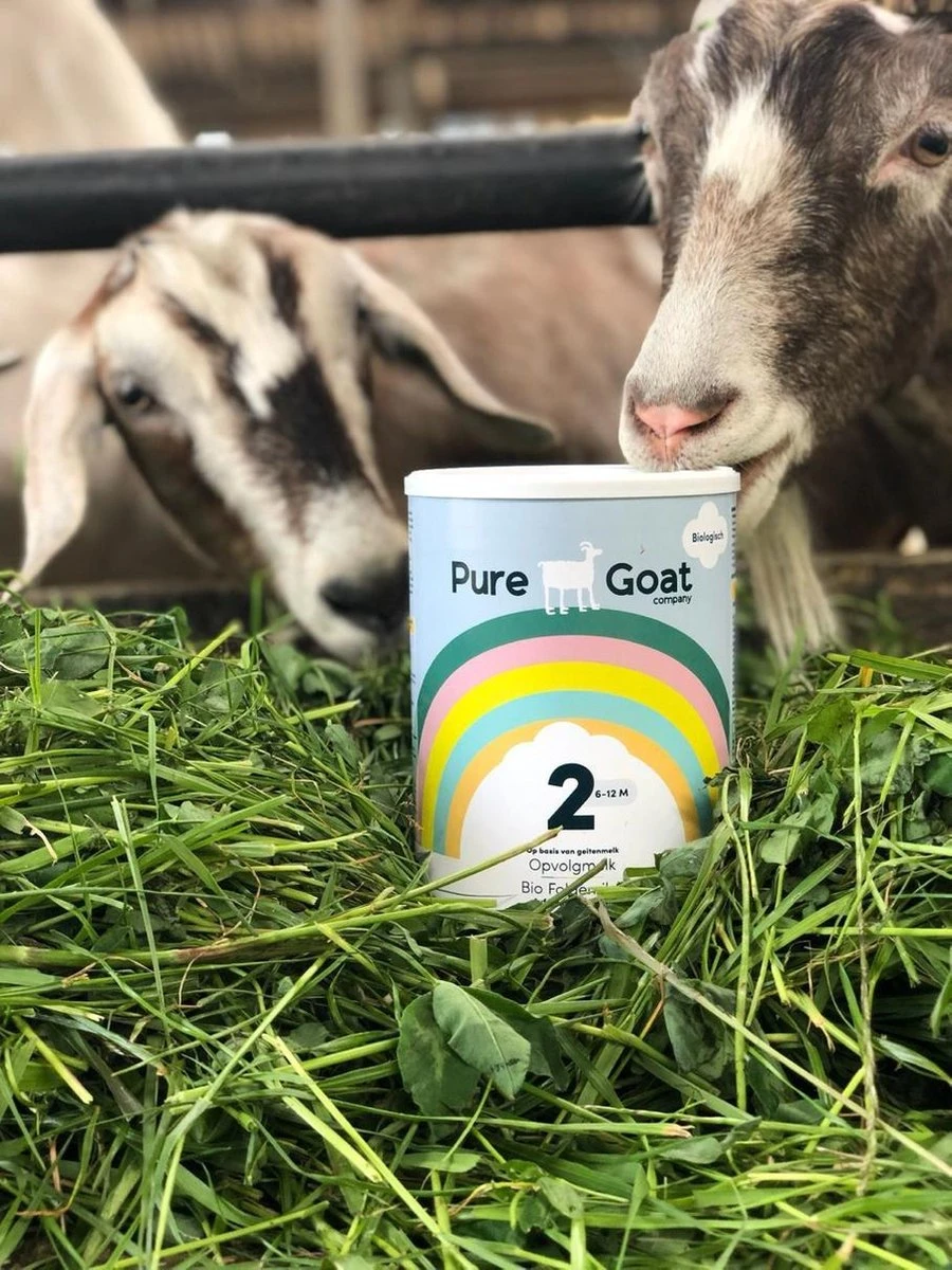 Pure Goat Company - Opvolgmelk 2 - Biologische Flesvoeding Op Basis Van Volle Geitenmelk - 800 Gram 7 Pure Goat Company - Opvolgmelk 2 - Biologische Flesvoeding Op Basis Van Volle Geitenmelk - 800 Gram - Afbeelding 5