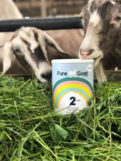 Pure Goat Company - Opvolgmelk 3 - Biologische Flesvoeding Op Basis Van Volle Geitenmelk - 800 Gram 16 Pure Goat Company - Opvolgmelk 3 - Biologische Flesvoeding Op Basis Van Volle Geitenmelk - 800 Gram -Zuigelingenvoeding 900x1200 4